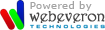 A Web Design Company Delhi, India